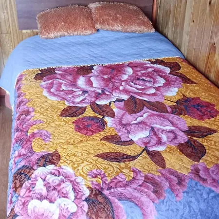 Esencia Chilota Apartment Ancud Room photo